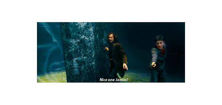 Sirius et Harry se battent ensemble au Ministère de la Magie.