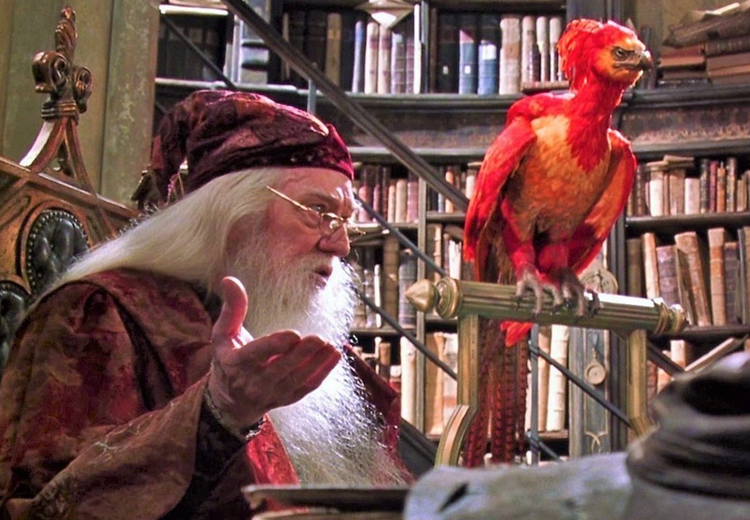 Dumbledore et son phénix Fumseck.