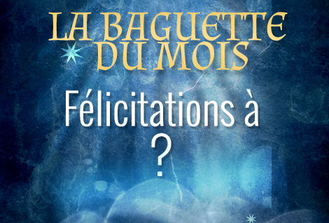 Baguette du mois : le résultat