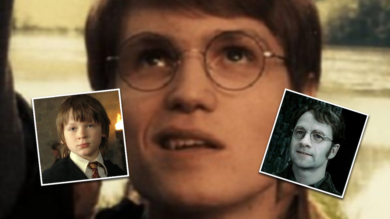 Pourquoi James Potter est-il un personnage détesté ?