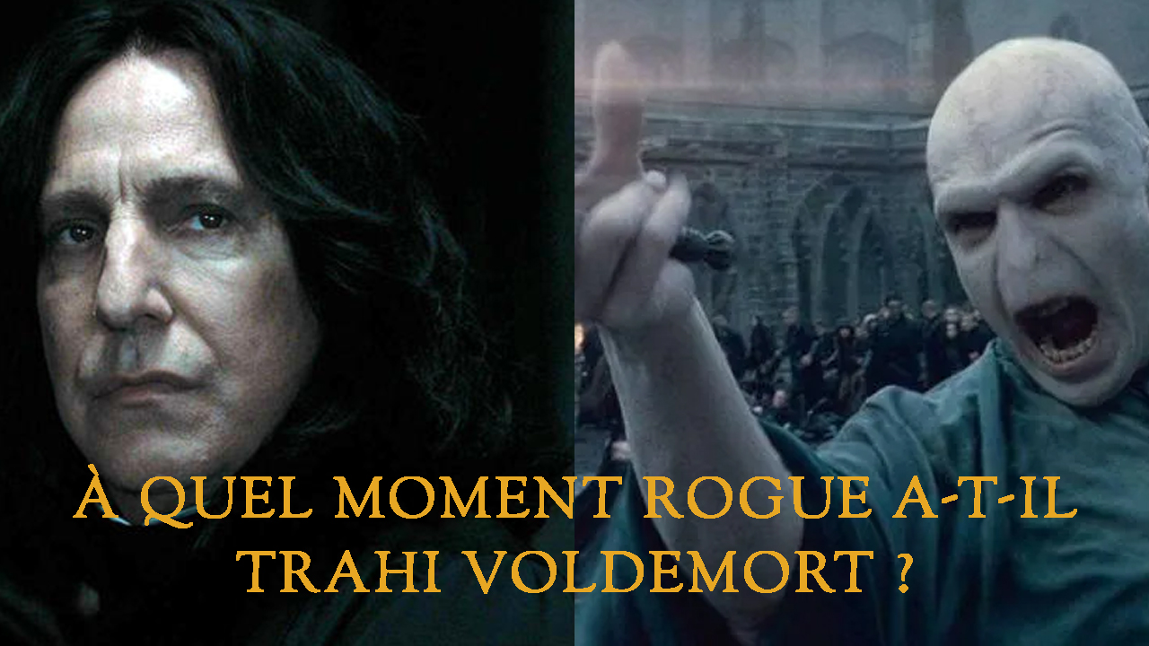 Pourquoi Dumbledore a-t-il changé de baguette ?