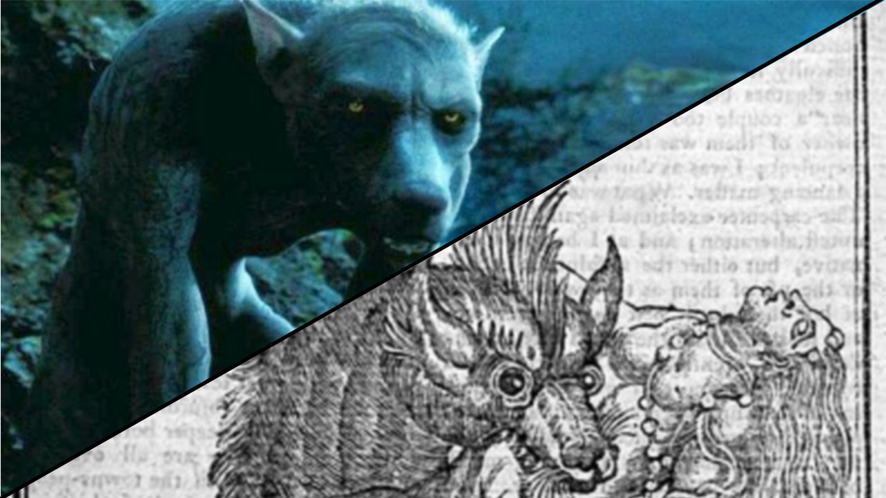 Les créatures magiques de Harry Potter et leurs origines - partie 2