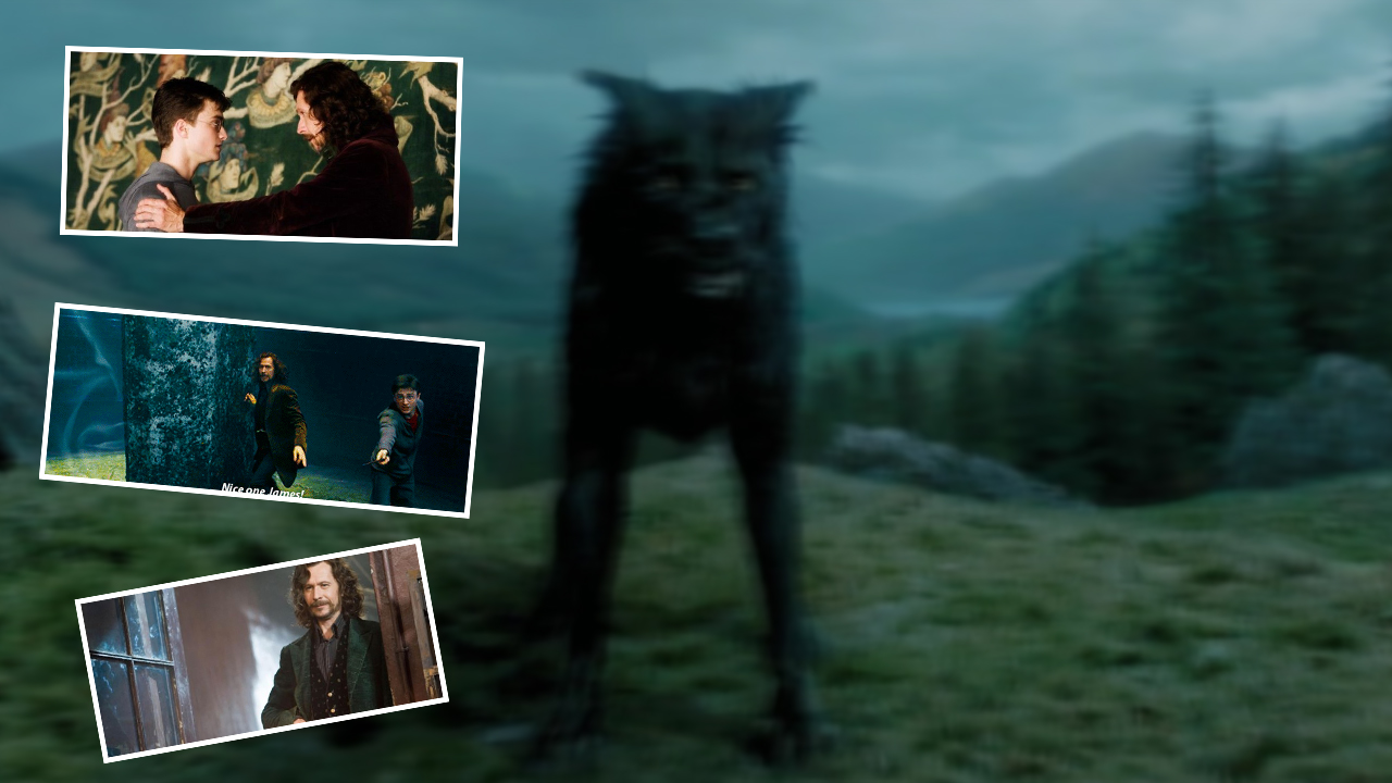 Sirius Black, un parrain qui vous veut du bien