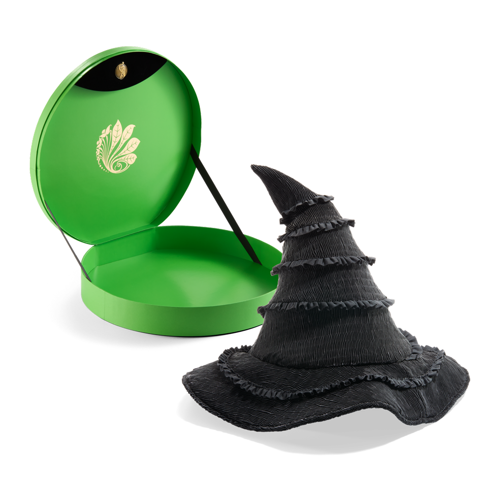 Chapeau de Elphaba - Boîte collector - Wicked