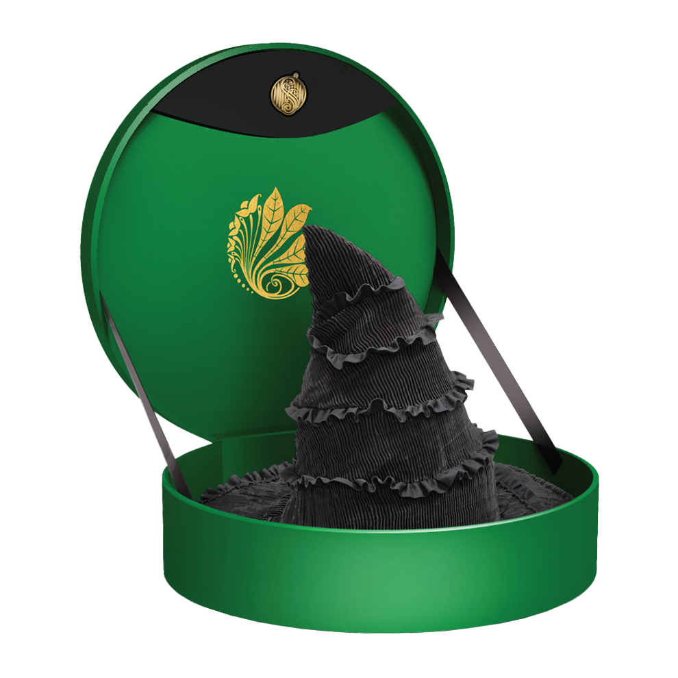 Chapeau de Elphaba - Boîte collector - Wicked