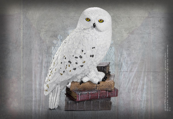 Magical creature - Hedwig