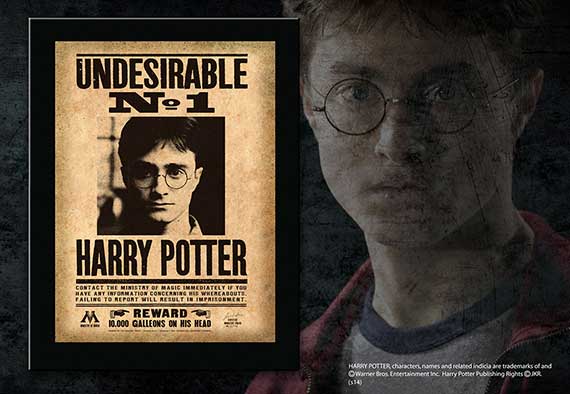Plaque Undesirable N°1 Harry Potter