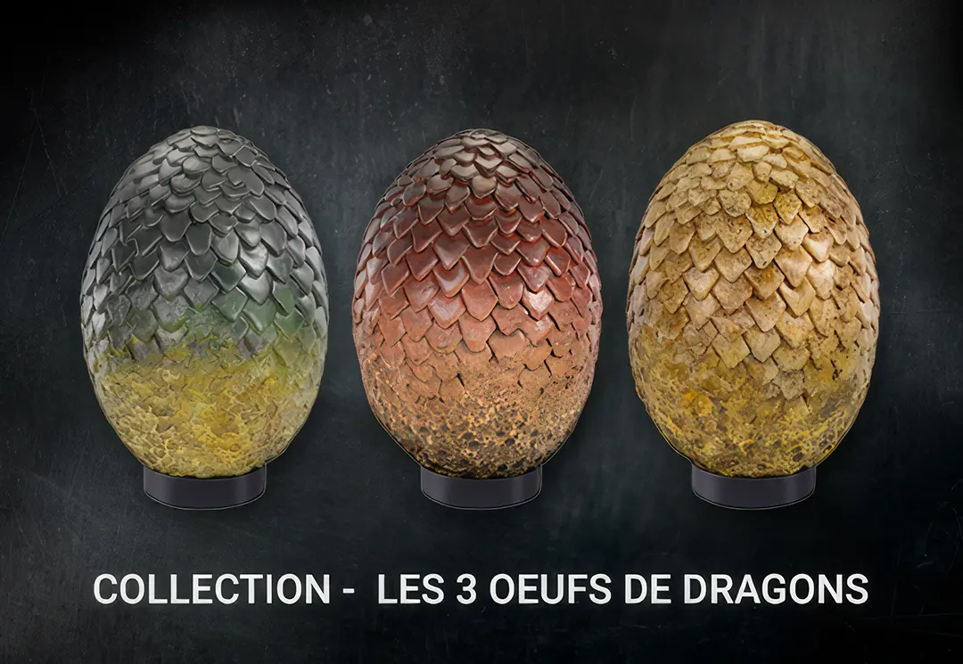 Collection oeufs de dragons