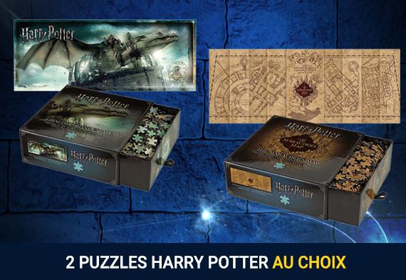 Pack 2 puzzles Harry Potter