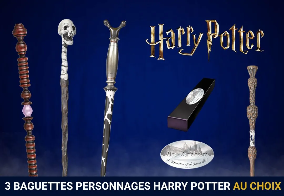 Pack 3 Baguettes Personnages Harry Potter