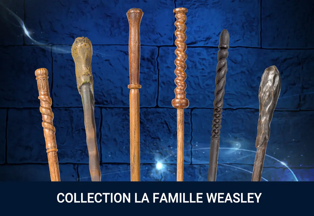 Collection Famille Weasley